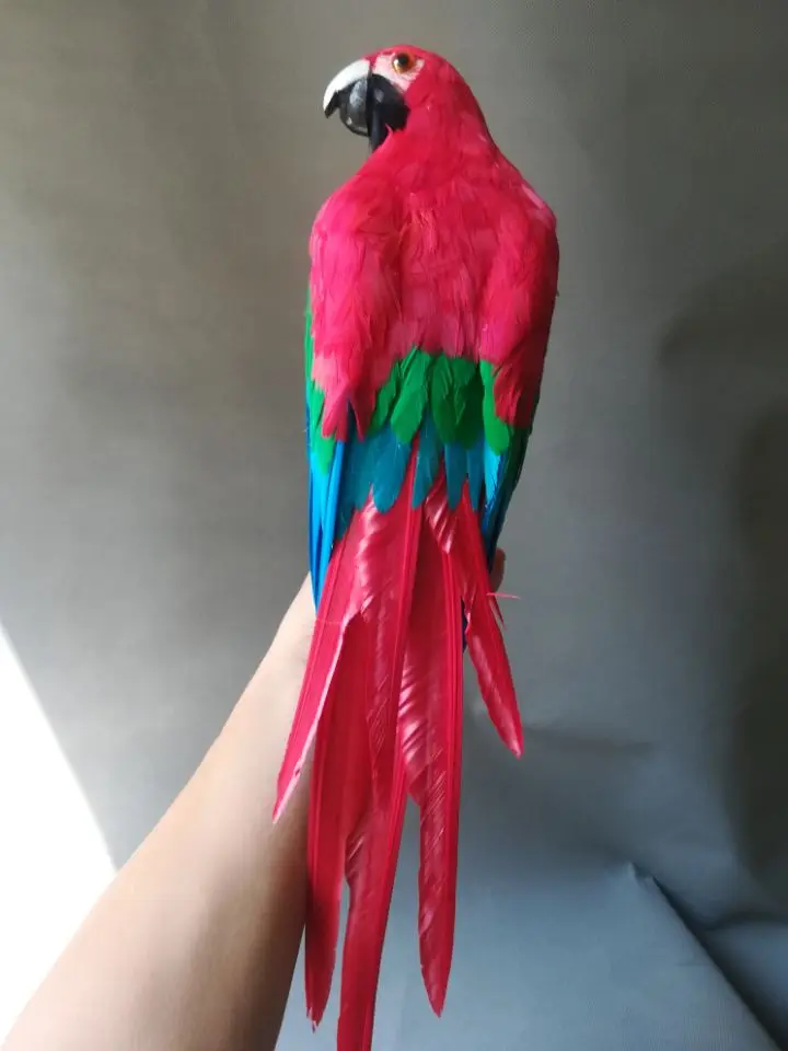 real life Bird red feathers parrot model large 50cm opening wings parrot garden decoration filming prop toy gift h1419