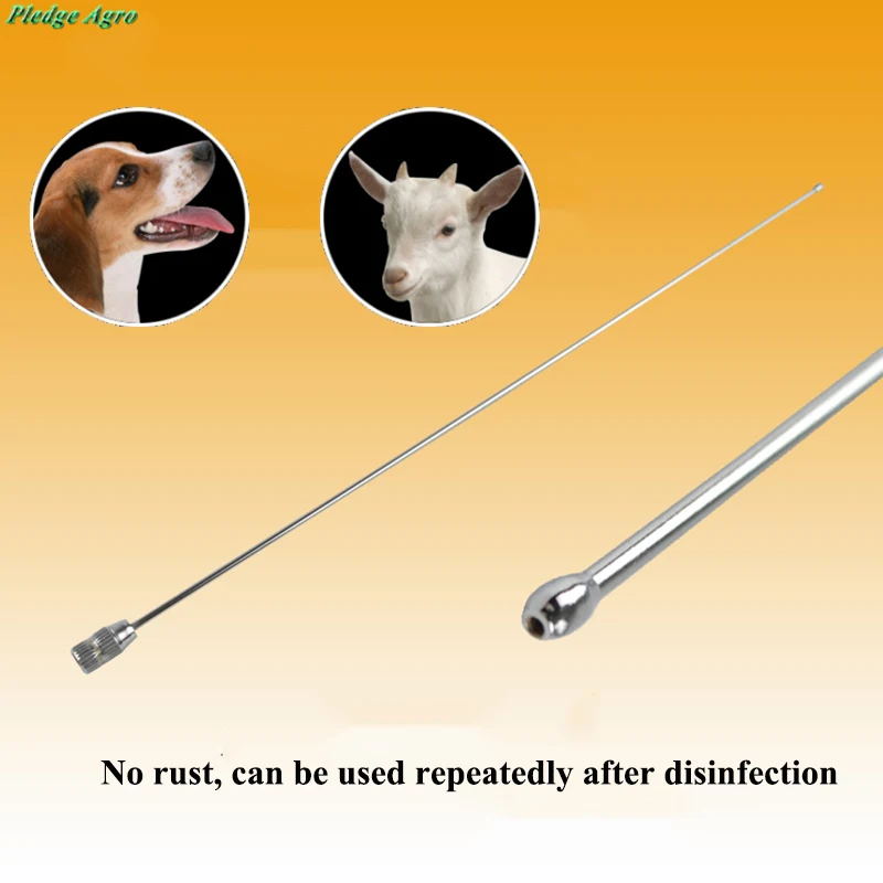 Dog Canine Artificial Insemination Needles Syringe Needle Equipment Station Clinc Pet Pets My Orders Perro Dogs Perros Sheep