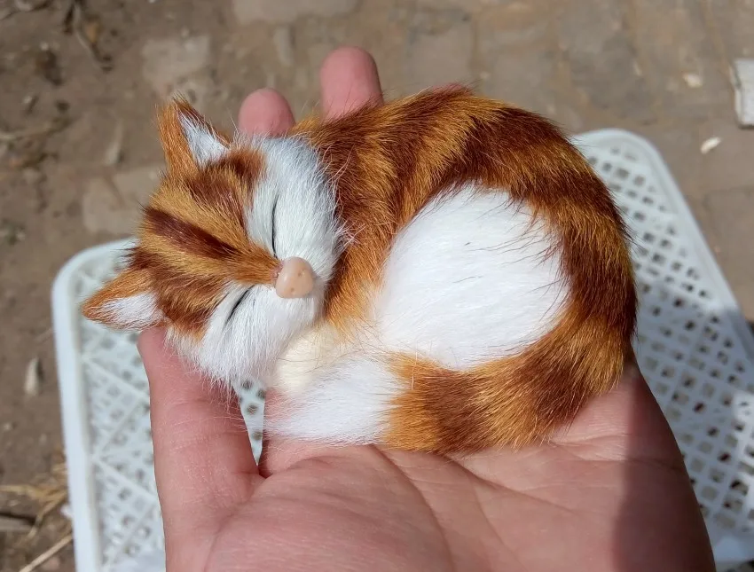 ΠΠ°Π»Π΅Π½ΡΠΊΠ°Ρ ΠΌΠΈΠ»Π°Ρ ΠΏΠΎΠ»ΠΎΡΠ°ΡΠ°Ρ ΠΊΠΎΡΠΊΠ° ΠΈΠ· ΠΏΠΎΠ»ΠΈΡΡΠΈΠ»Π΅Π½Π° ΠΈ ΠΌΠ΅Ρ
Π°, ΠΏΠΎΠ»ΠΎΡΠ°ΡΠ°Ρ ΠΌΠΎΠ΄Π΅Π»Ρ ΠΊΠΎΡΠΊΠΈ Π² ΠΏΠΎΠ΄Π°ΡΠΎΠΊ, ΠΎΠΊΠΎΠ»ΠΎ 10 ΡΠΌ x 7,5 ΡΠΌ x 5 ΡΠΌ ΠΠ°Π»Π΅Π½ΡΠΊΠ°Ρ ΠΌΠΈΠ»Π°Ρ ΠΏΠΎΠ»ΠΎΡΠ°ΡΠ°Ρ ΠΊΠΎΡΠΊΠ° ΠΈΠ· ΠΏΠΎΠ»ΠΈΡΡΠΈΠ»Π΅Π½Π° ΠΈ ΠΌΠ΅Ρ
Π°, ΠΏΠΎΠ»ΠΎΡΠ°ΡΠ°Ρ ΠΌΠΎΠ΄Π΅Π»Ρ ΠΊΠΎΡΠΊΠΈ Π² ΠΏΠΎΠ΄Π°ΡΠΎΠΊ, ΠΎΠΊΠΎΠ»ΠΎ 10 ΡΠΌ x 7,5 ΡΠΌ x 5 ΡΠΌ