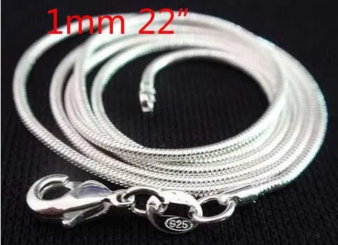 

Wholesale 20PCS/Lot Silver Color 1mm snake Chain 22inch,Silver Plated DIY Jewelry,Fashion Chain Necklace