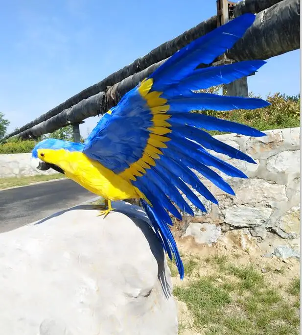 big real life wings parrot model foam&feather simulation blue&yellow parrot bird gift about 45x60cm xf0236