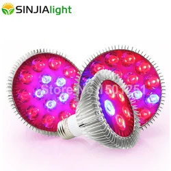 6W 15W 21W 27W 36W 45W 54W LED Grow Light Phytolamp Flower Bulbs for Garden Indoor Plants Growth Lamp Grow Box Red+Blue E27