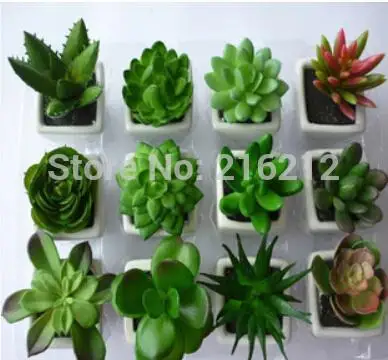 Decorative flower pots planters artificial plants with vase bonsai tropical cactus fake succulent plant potted on the desk