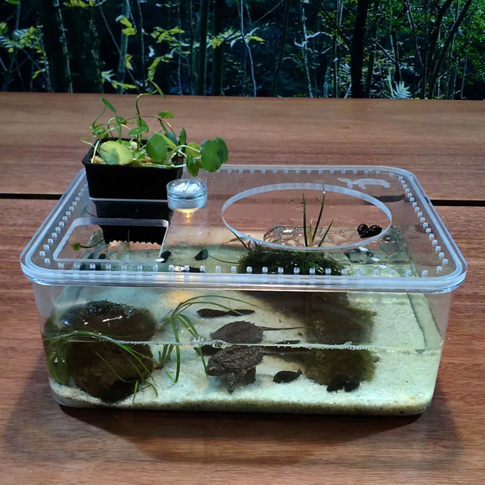 Plastic Turtle Tank Water and Land Turtle Basin Small Desktop Turtle Tank Landscaping Aquarium Turtle Breeding Box