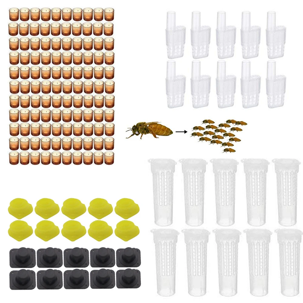 

Complete bees rearing kit system bee tools set cages plastic cells protection cover cage base celular rooms supplier equipment
