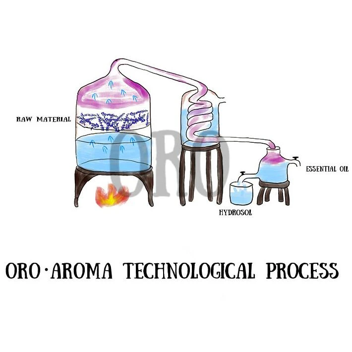 Oroaroma naturalna aromaterapia olejek eteryczny werbena dekompresyjny i promocja snu relaksujący olej werbenowy