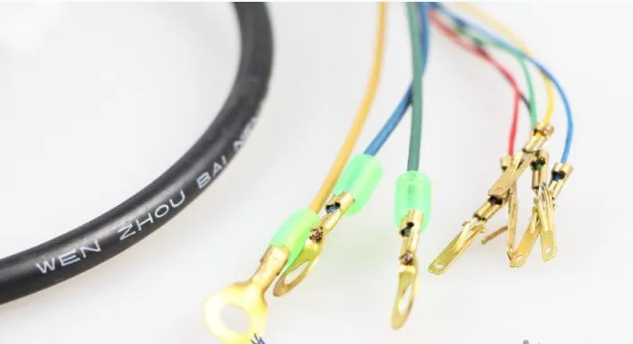 السفينة حرة 90 سنتيمتر سيارة كهربائية اكسسوارات/المركبات الكهربائية 500 واط موتور سلك ارتفاع درجة الحرارة فرش السيارات كابل