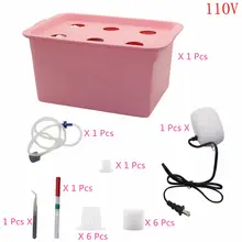 Hydroponic Plant Growing System 6 Holes #5