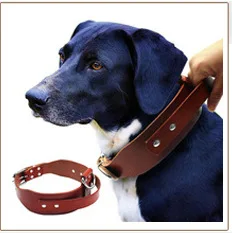 Echtes Leder-Katzenhalsband für kleine und mittelgroße Hunde, personalisiertes Hunde-ID-Halsband, individueller Haustiername und Telefonnummer, kostenlose Gravur – Detail 25