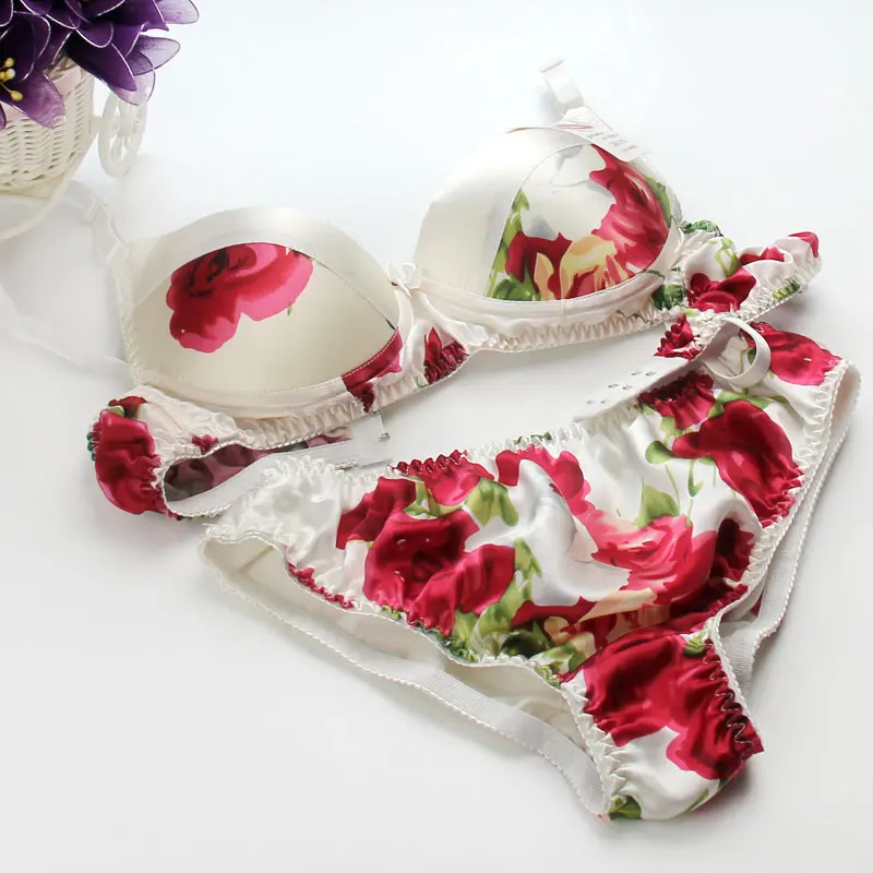 New Design Printed Bra Sets 100% Mulberry silk underwear bra + panty set silk protein