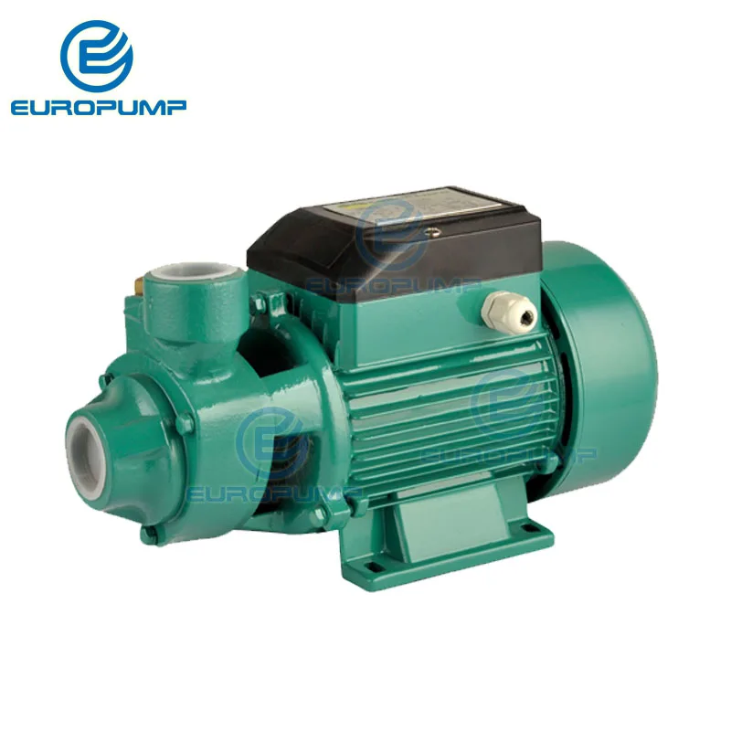 Imagem -02 - Europump Modelo Ysqb24 25m Elevador 24v dc 0.4hp Alto Fluxo Solar Bomba Submersível Centrífuga