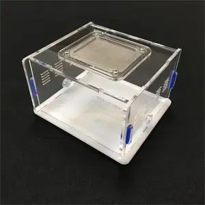 mini's nest'in en çok satan 7 ürünü, karınca, no. 3