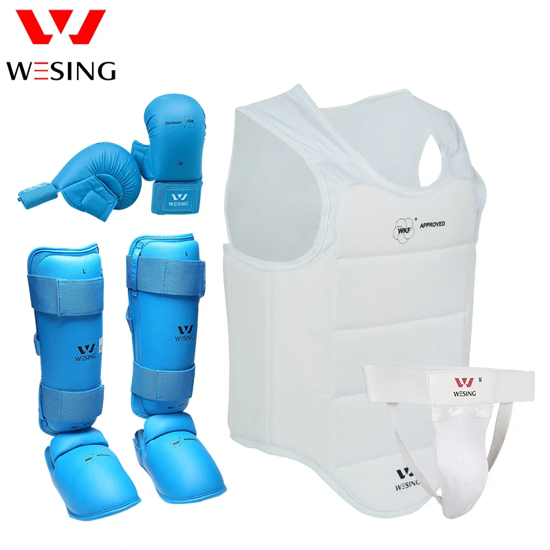 Wesing Karate Protective Gears Set for Training Competition Approved by WKF Chest Guard Karate Gloves Shin Groin Guard Men Women