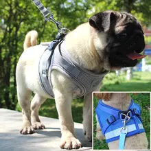 Reflective Cat Harness and Leash Set #6