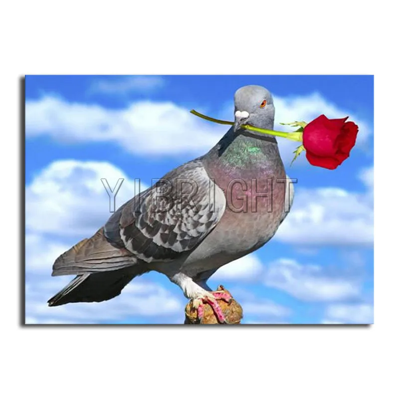 5D Diy Diamond Painting Bird Pigeon Full Round Diamond Embroidery Rose Full Square Diamond Mosaic Flower Cross Stitch