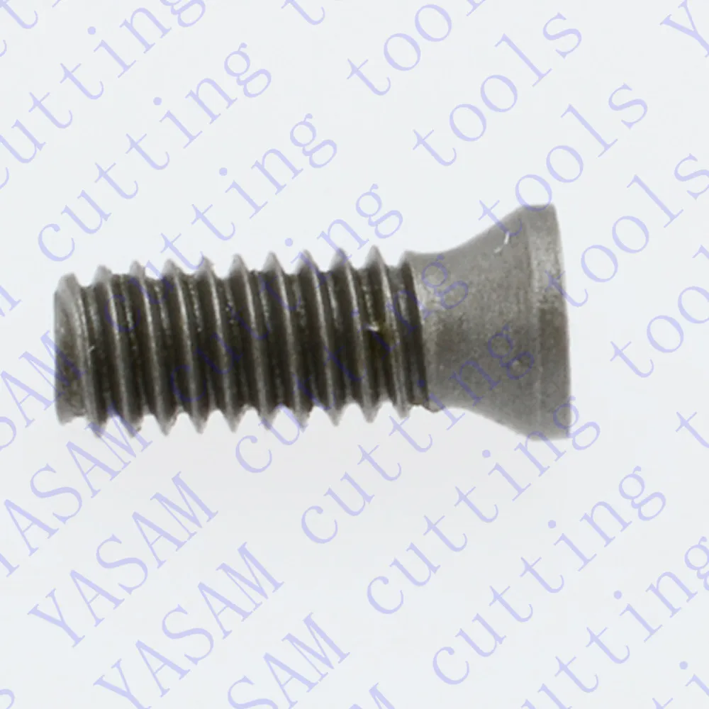 

M2.2X6 P0.4 torx screws for carbide inserts machine spare parts