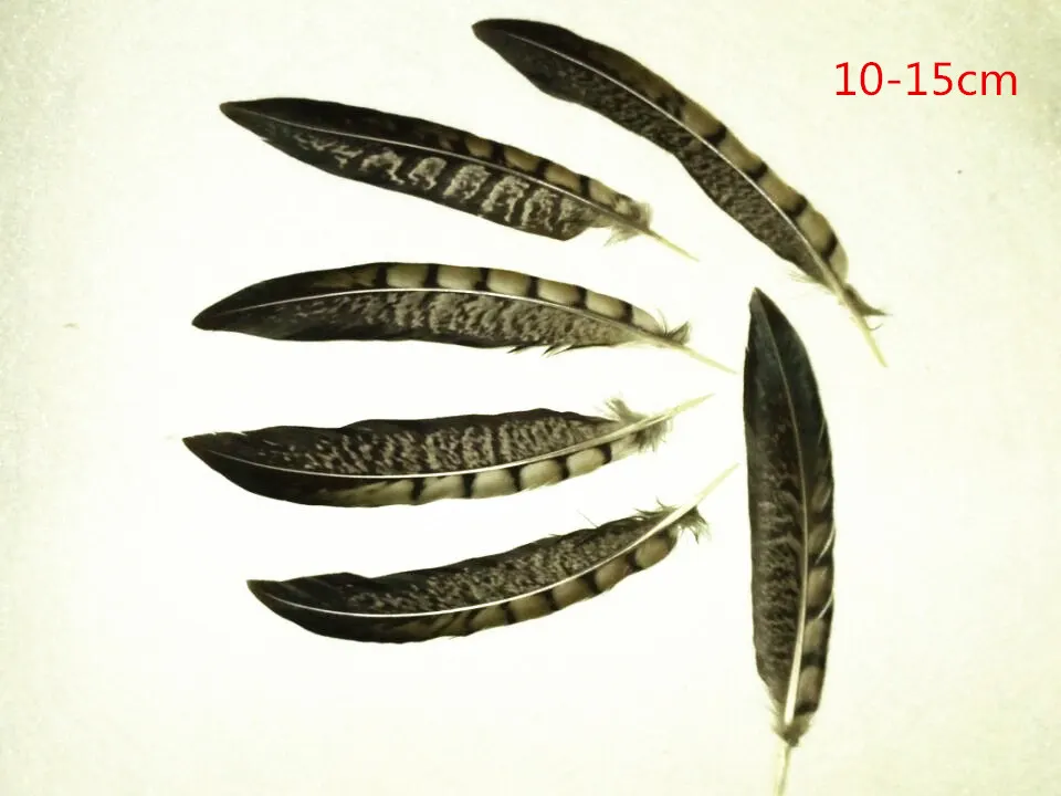 2019new, 20 pieces / pack of high quality natural pheasant feathers, diy handicraft jewelry accessories