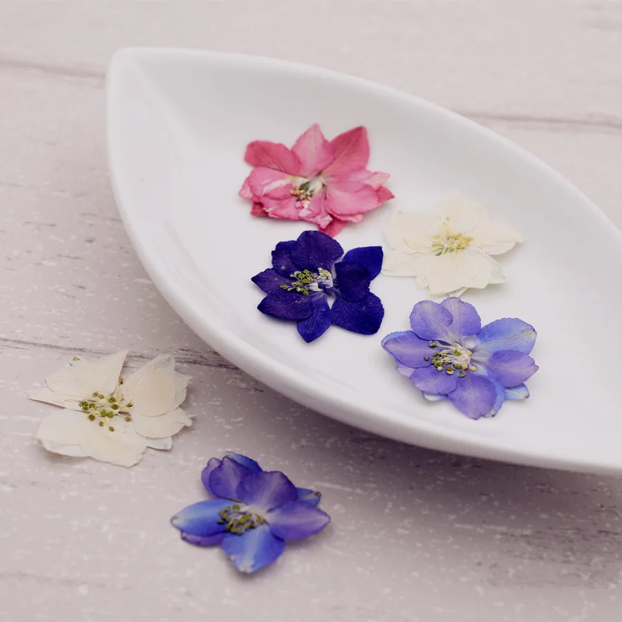 

10pieces Gaura lindheimeri Natural Dried Flowers DIY Pressed Herbarium Flower Decorative Crafts For Jewelry Making