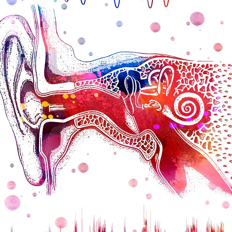 Ear System Medical Anatomy Wall Art Canvas Poster Prints Binaural Hearing Art Audio Wave Painting Clinic Doctor Office Decor