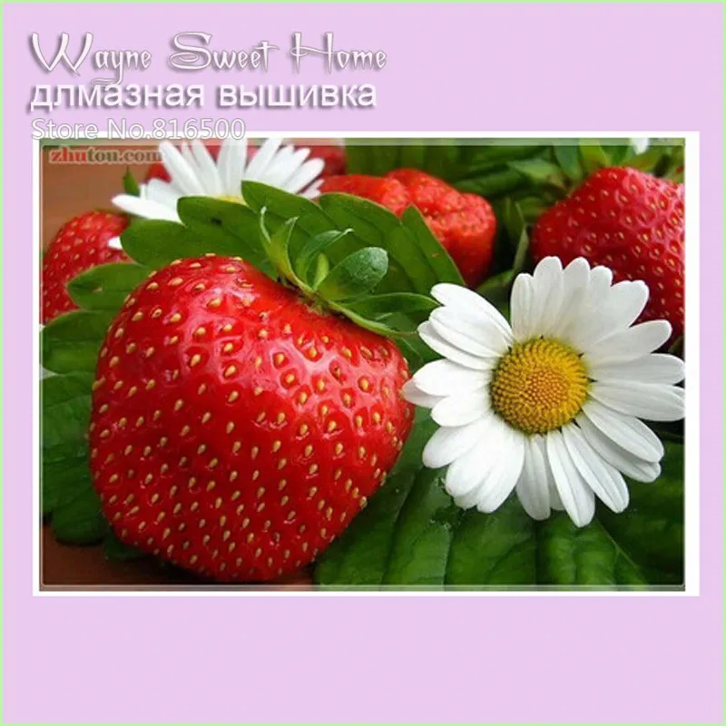 2016 New Strawberry 5D DIY Diamond Painting Cross Stitch Diamond Embroidery Mosaic For Home Decor Painting Rhinestone Needles