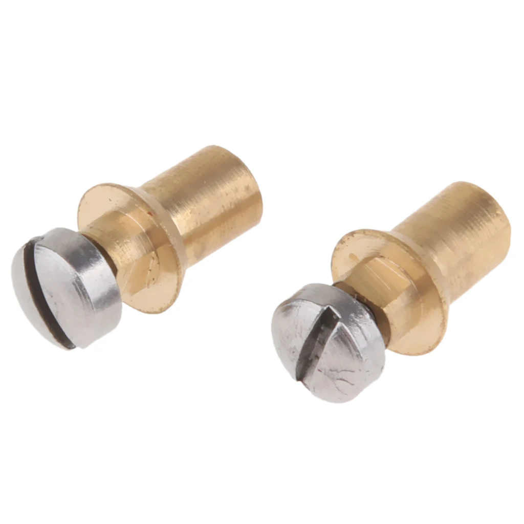 2 Pieces Alto Tenor Soprano Saxophone Screw Sax Adjustment Replacement Repair Screws 5 x 11mm
