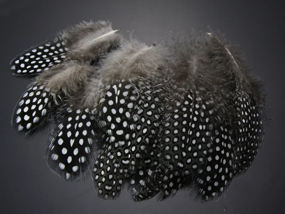 Guinea Hen Feather Saltwater Hackle Fly Tying Material Hand Selected over 9 cm, Available in 9 Colors - view 5