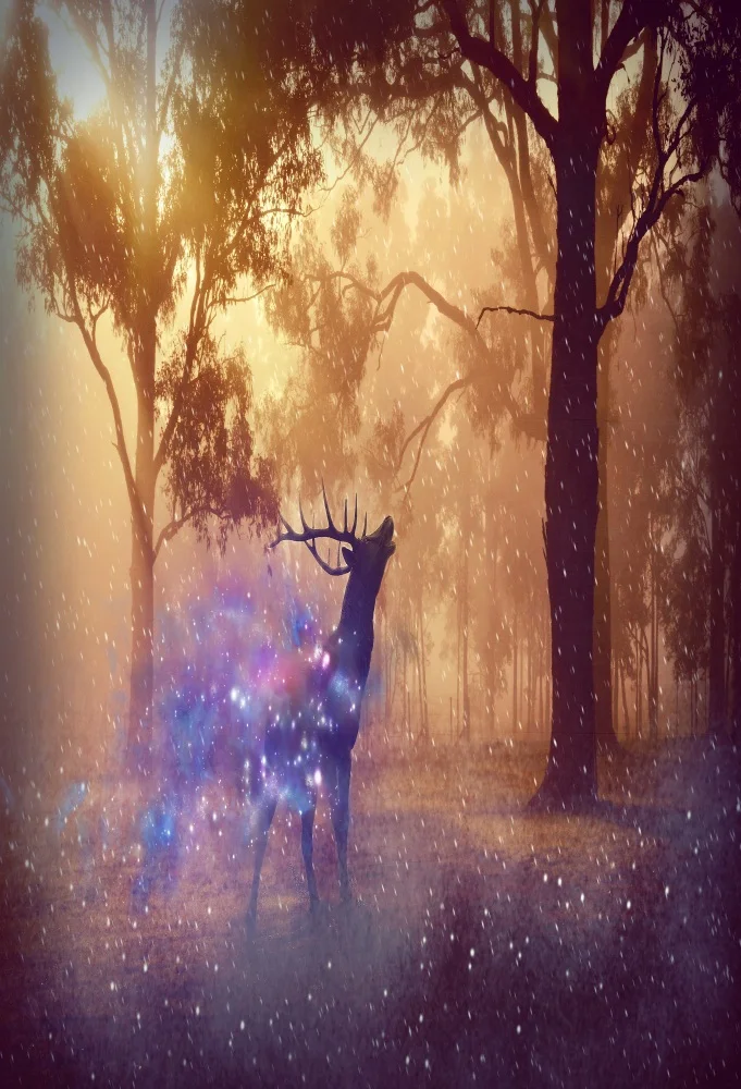 Laeacco Lơ Mơ Rừng Biến Mất Hươu Lightspot Cảnh Chụp Ảnh Nền Tùy Chỉnh Chụp Ảnh Bối Cảnh Cho Studio Ảnh