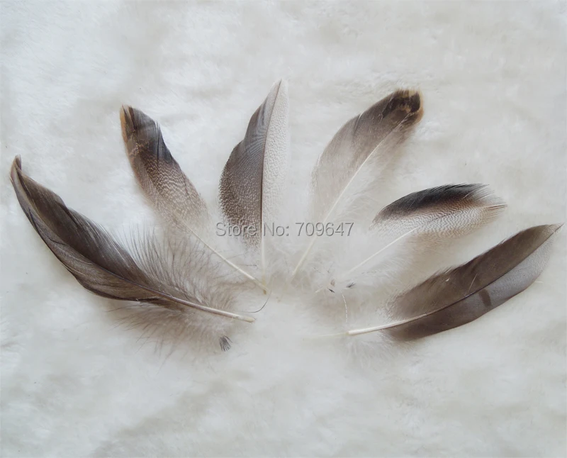 

100pcs/Lot 7-10cm Mallard Duck Drake Grey Flank Feathers feather crafts Hair Feathers Craft Supplies Wholesale Feathers