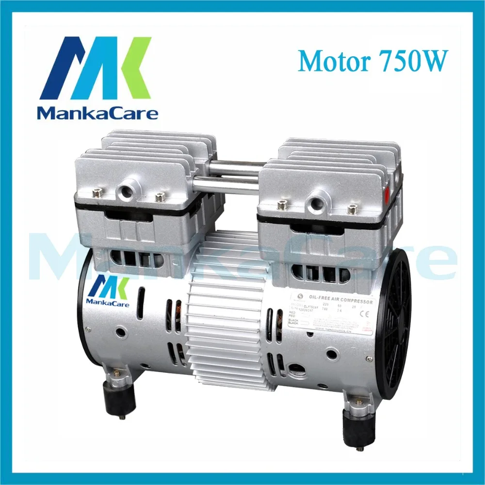 

750W Oil free Air compressor ,dental Compressor oxygen concentrator air source Double Heads Oilless Piston Compressor Pump