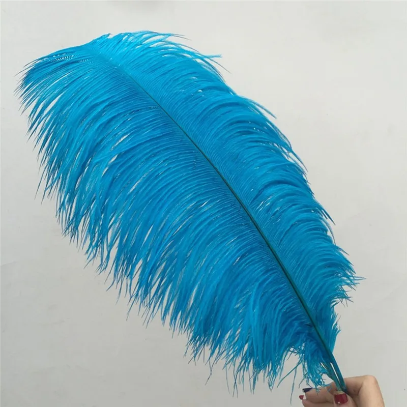 Großhandel Seeblaue Straußenfedern 15-75CM 6-30 Zoll DIY Karnevalsdeko Party Hochzeitsdekorationen Natürliche Straußenfedern – Detail 3