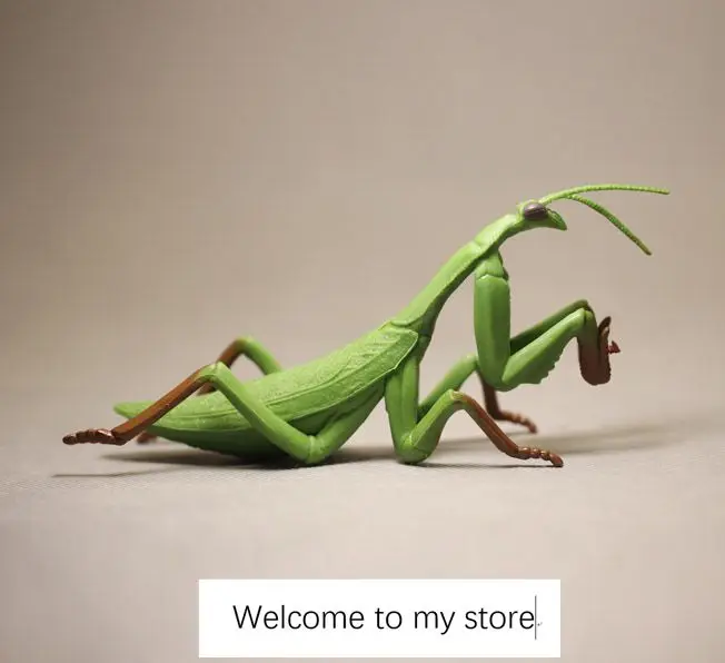 Figura grande de pvc, modelo animal de simulación insec, modelo cognitivo para niños, modelo de decoración