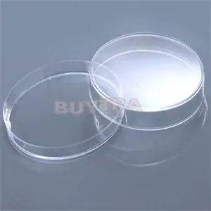 10 pcs/pack 55mm x15mm Laboratory Plastic Petri Dish/Transparent Clear Like Glass Petri Dish Lab Supplies