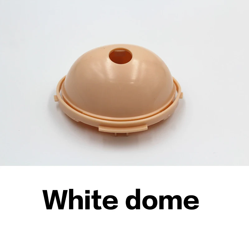 블라이스 인형 돔