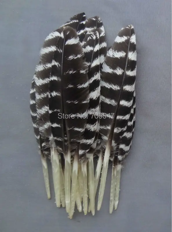 

Plume Decoration !100Pcs/lot!5-10cm long MINIATURE WILD TURKEY WING FEATHERS,Natural Wild Turkey Small Quill Feathers