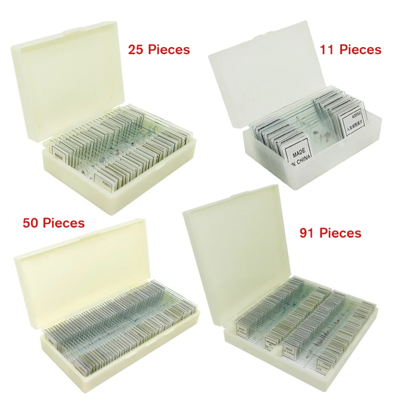 Chinese/English label Animals Insects Plants 11/25/50/91 pieces sample prepared glass microscope slide school biological Lab