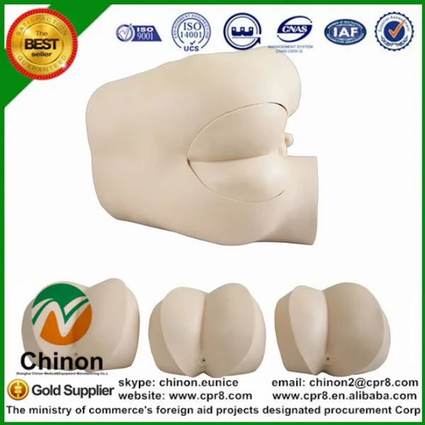 

Chinon Advanced Rectum Check Simulator Rectal Touch Examination Model Medical Science Student Teaching Training Tools BIX-LV39