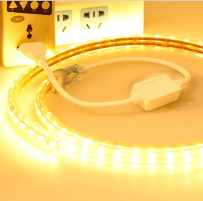 AC220V LED Strip Light SMD 5050 60leds/m IP67 Waterproof flexible led tape with ON/OFF switch 1M/2M/3/4/5/6/7/8/9/10M