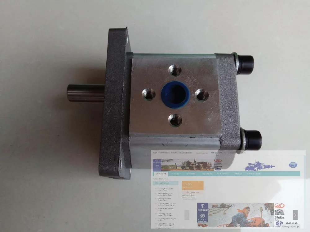 316, Left rotation gear pump, the round connecting shaft with long flat key.