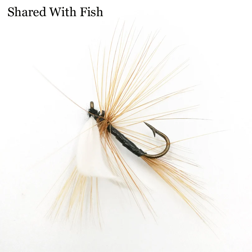 Shared With Fish 5pcs\lot White Brown Quill Dry Fly May fly Nymph for Fly Fishing Trout Size 10# Hook