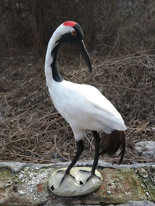 new simulation Red-crowned crane model toy resin&fur crane model gift about 37x19cm 2225