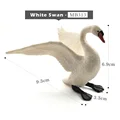 White Swan