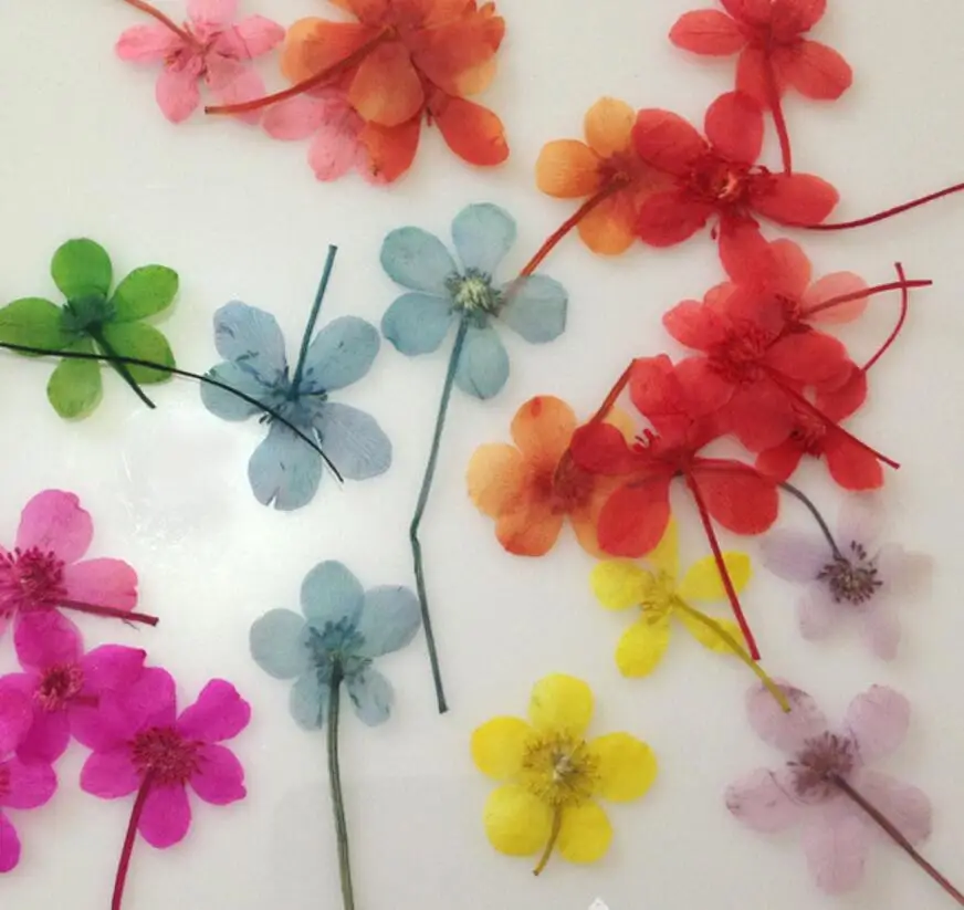 100pcs Pressed Dried Flower water lily Filler For Epoxy Resin Pendant Necklace Jewelry Making Craft DIY Accessories