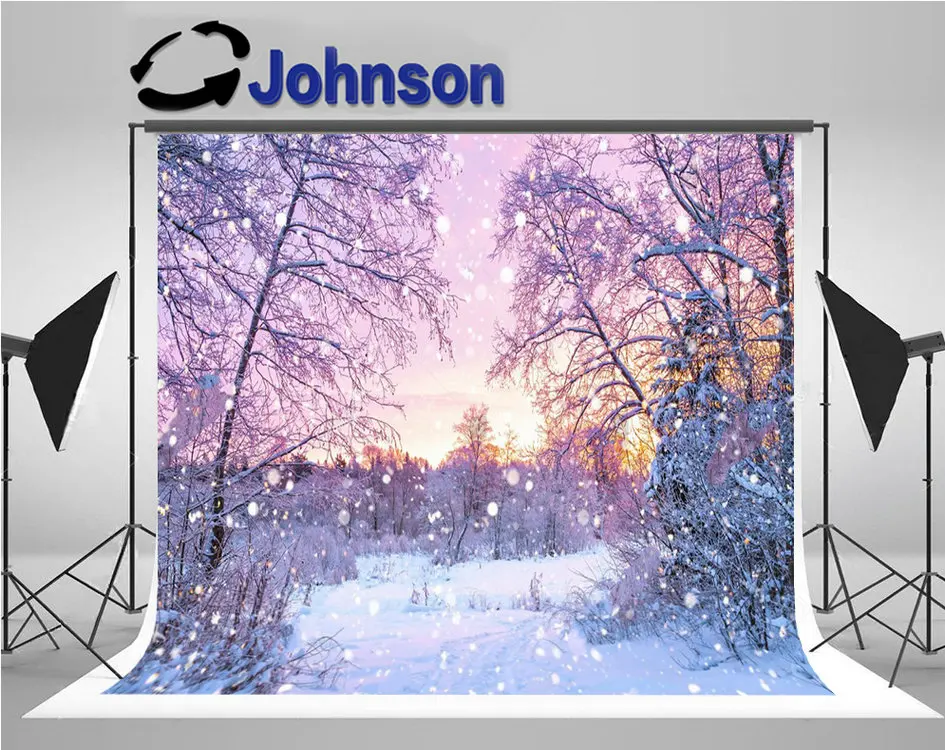 

Winter Wedding Landscape Forest Trees Sunrise Purple Sunset Snow backgrounds Computer print scenic backdrops