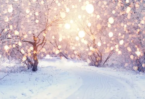 

Snowy Winter Landscrape tree road Christmas Bokeh Lights backdrop High quality Computer print party background