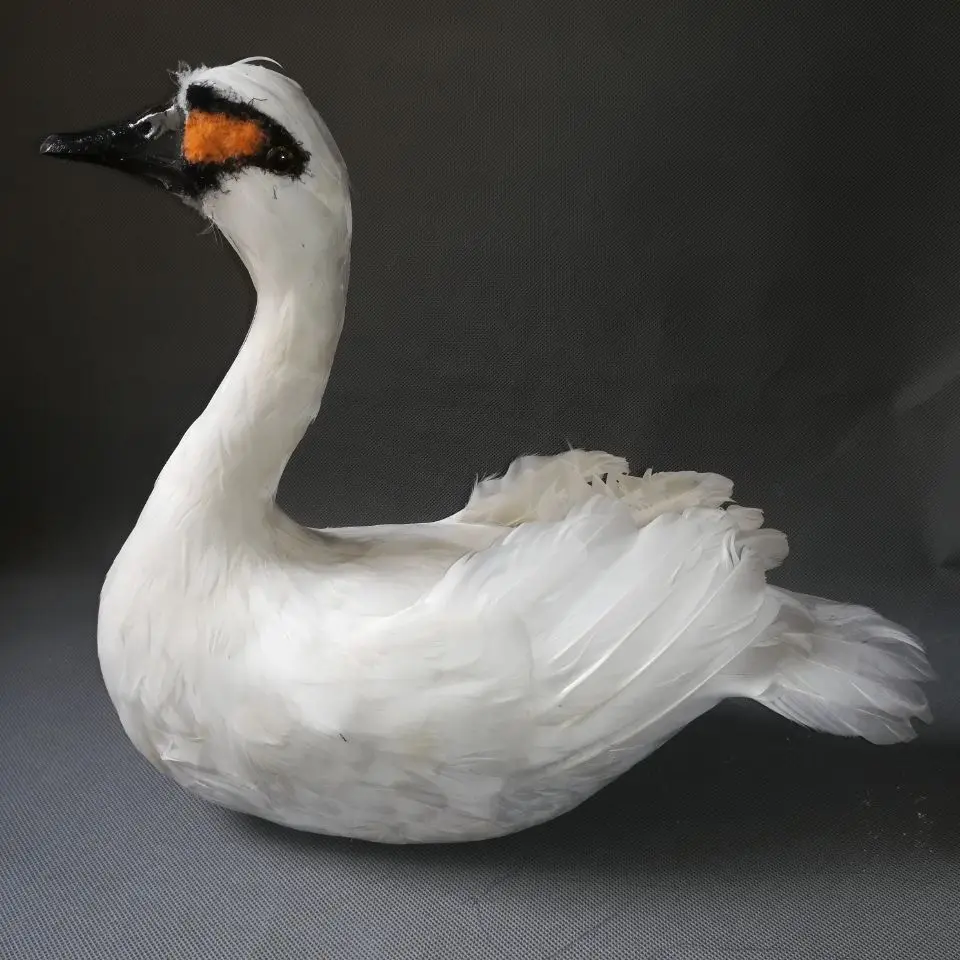 large 40x30cm white swan real life toy bird, foam&feathers swan model garden decoration party prop,gift h1599