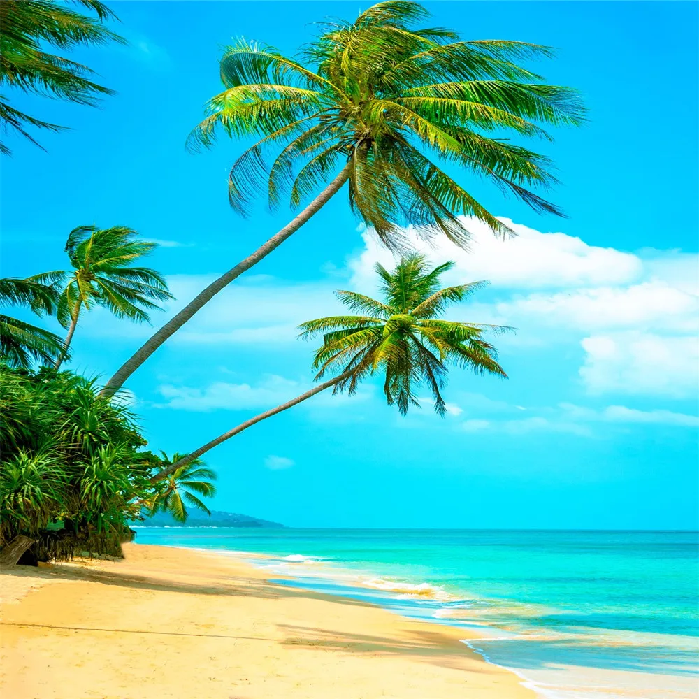 

Beach Themed Photography Backdrops Seaside Palm Trees Blue Sky Seawater White Clouds Summer Holiday Wedding Photo Backgrounds