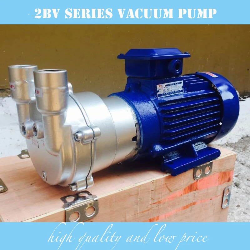 10% Discount Stainless Steel Material 2BV2060 Water Ring Vacuum Pump On Sale