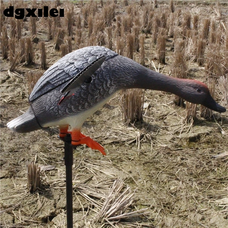 

GADWALL Motorized Duck for Hunting, Plastic Decoys, Remote Control