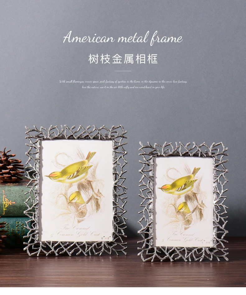 

Creative European Style Photo Frame, Modern Simple Metal Picture Frame