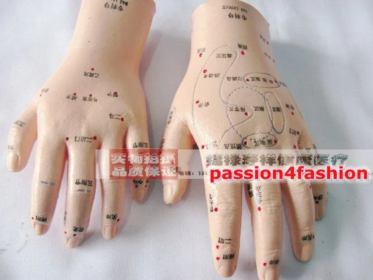 2PCS Massage Acupuncture Hand Model Reflexology Meridian Acupoint Medical Reflex Meridian Ultra-clear Mode